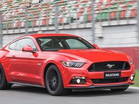 Ford Mustang Ford mustang dalimis