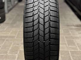 Continental Conticontact Ts815, žieminės 205