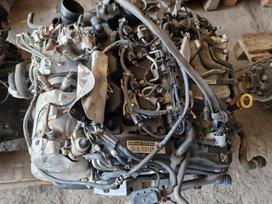 Volkswagen Passat, DFC, Variklis dfc
