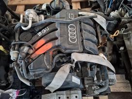 Audi A3, BGU, Variklis bgu