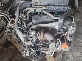 Ford Transit, QVFA, Variklis qvfa