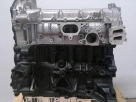Ford Transit, BKFC, Turime ir kitais kodais fordu varikliu ynf6 ymf6 bkfb