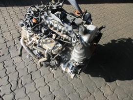 Opel Antara Variklis 2 2d z22d1