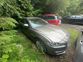 Jaguar XE for parts. Tik kėbulo dalys