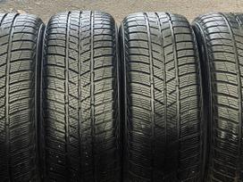 Barum Polaris 5, winter 205/55 R16