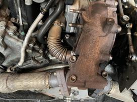 Audi A4, CGK, двигатель