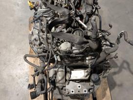 Volkswagen Passat, DDA, engine