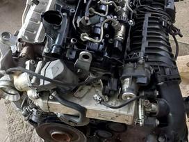 BMW 5 serija dalimis. N47d20c tik variklis ir aplink variklio dalymis kitu da