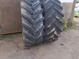 Trelleborg TM 800