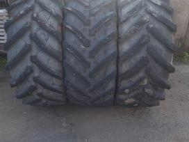 Trelleborg TM 800