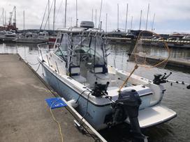 Bayliner Trophy 2352 walkaround, jachtos /