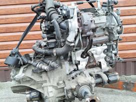 Toyota Urban Cruiser, D1ND, Yra daugiau ardomu auto ir varikliu galimas pristatymas