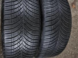 Goodyear, universalios 235/45 R20