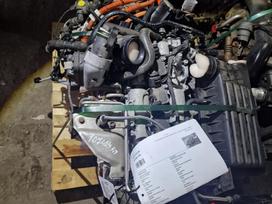 Volkswagen Passat, CUK, Variklis cuk