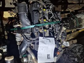 Chevrolet Cruze, A17DTF, Variklis a17dtf