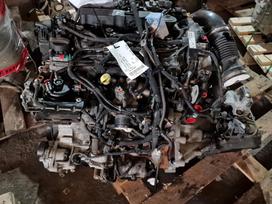Peugeot Expert, AH01, Variklis ah01