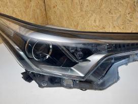Toyota C-HR, 81110F4031, Cen21231