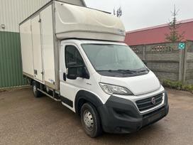 Fiat Ducato, krovininiai mikroautobusai