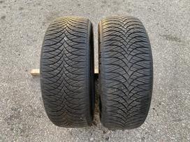 Westlake ALL Season Elite Z-401, all-season 225/55 R17