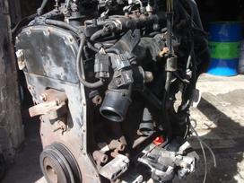 Citroen Jumper pistons, cylinder head