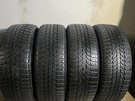 Triangle Snowlink, all-season 205/60 R16