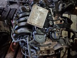 Volkswagen Golf, BAG, Variklis bag