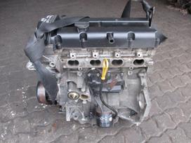 Ford Focus Variklis 1 6b hwda