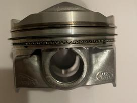 Land Rover Evoque, Pt204, virzulis