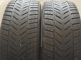 Vredestein Wintrac xtreme s, žieminės 205/45 R17