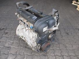 Ford Focus Variklis 1 6b shda