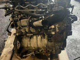 Ford Focus, NGDA, по частям. Focus 1 6tdci kodas ngda