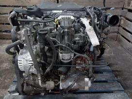 Ford Mondeo, D4204T, по частям. Mondeo 2012 2 0tdci d4204t