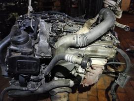 Mercedes-Benz S420, 629911, variklis