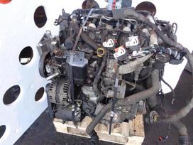 Land Rover Freelander, 224DT