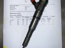 BMW 320, 0445110216, injection system