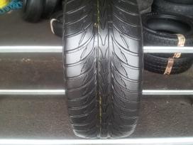 Michelin Pilot EXCALTO apie 5mm, vasaras 195/50 R15
