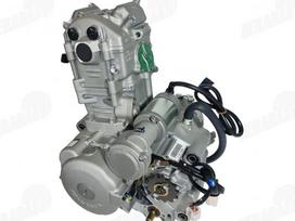 Zongshen ZS, atv / quad
