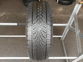 Sava Intensa apie 5mm, летние 195/65 R15