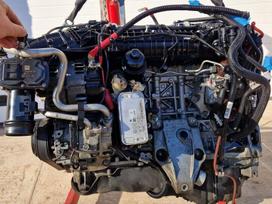BMW X5, n57d30b, Bmw n57d30b 230 kw pilnas variklis