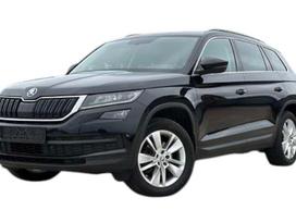 Skoda Kodiaq, 1Z / F9R DPCA