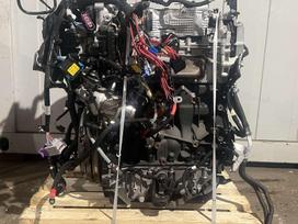 Renault Trafic, M9R 717, двигатель