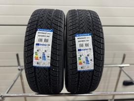 Triangle WinterX TW401 94V, winter 205/55 R16