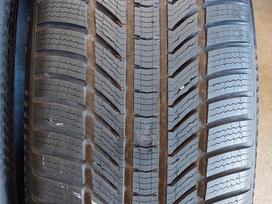 Continental, žieminės 255/40 R21