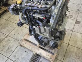 Jeep Compass, 55263088, Sveikas variklis