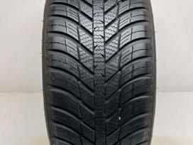 Nexen N-Blue 4Season 2020m, all-season 225/55 R16