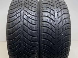 Nexen N-Blue 4Seasons 2023m, all-season 225/55 R17