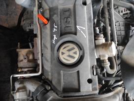 Volkswagen Passat Tik variklis ir dėžė