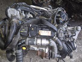 Ford Focus 1 5 d xwdb