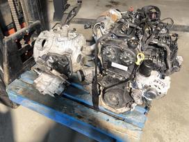 Volkswagen Golf engine parts