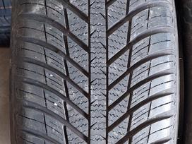Nexen, vissezonas 205/55 R16